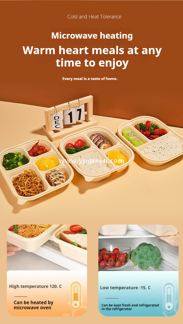 Five-grid v3 1000 ml corn starch degradable lunch box – 25.8×20.7×4.2 cm Cornstarch Takeout Tray for Bento & Delivery