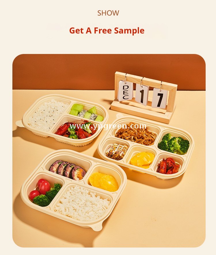 Five-grid v3 1000 ml corn starch degradable lunch box – 25.8×20.7×4.2 cm Cornstarch Takeout Tray for Bento & Delivery