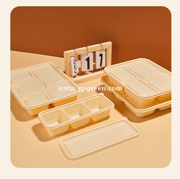 Five-grid v3 1000 ml corn starch degradable lunch box – 25.8×20.7×4.2 cm Cornstarch Takeout Tray for Bento & Delivery