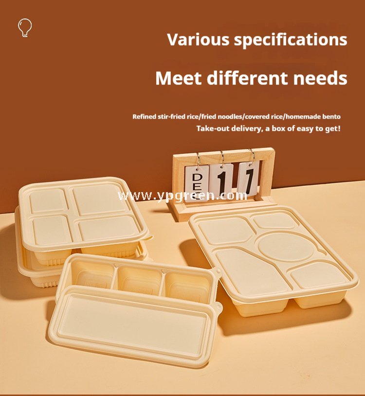 Five-grid v3 1000 ml corn starch degradable lunch box – 25.8×20.7×4.2 cm Cornstarch Takeout Tray for Bento & Delivery