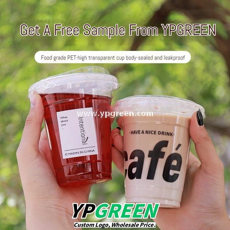 Transparent Disposable Cups for Cold Beverages – Milk Tea & Smoothie Use - Packaging Sourcing Company