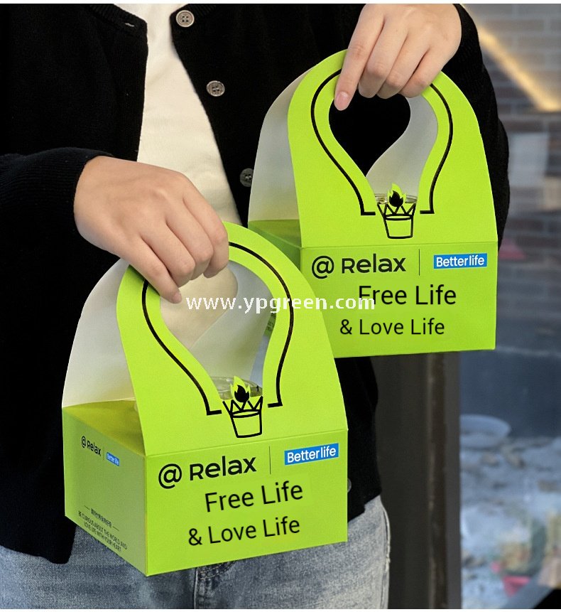 260ml Green Creative Single Cup Carrier | Disposable Premium Tea & Coffee Cup Holder Base | Takeaway Milk Tea Paper Cup